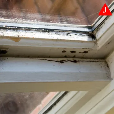 Window Repair and Window Replacement - Best Window Repair Window